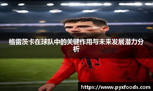 格雷茨卡在球队中的关键作用与未来发展潜力分析