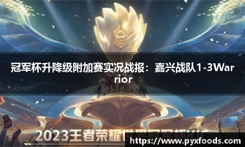 冠军杯升降级附加赛实况战报：嘉兴战队1-3Warrior
