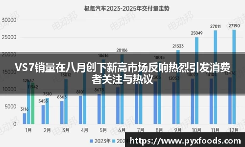 VS7销量在八月创下新高市场反响热烈引发消费者关注与热议